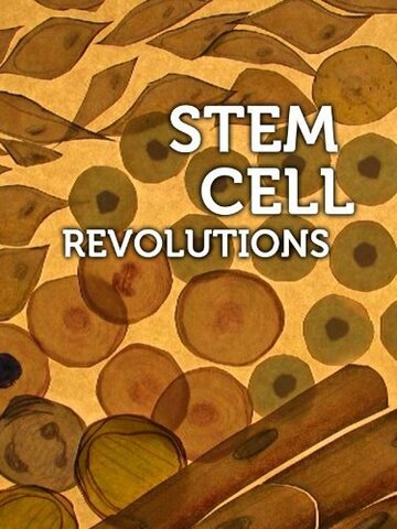 Stem Cell Revolutions (2011)