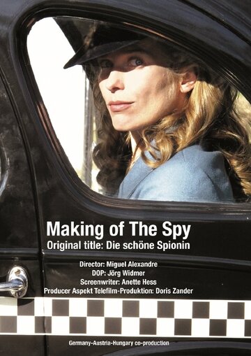 Красивая шпионка (2013)